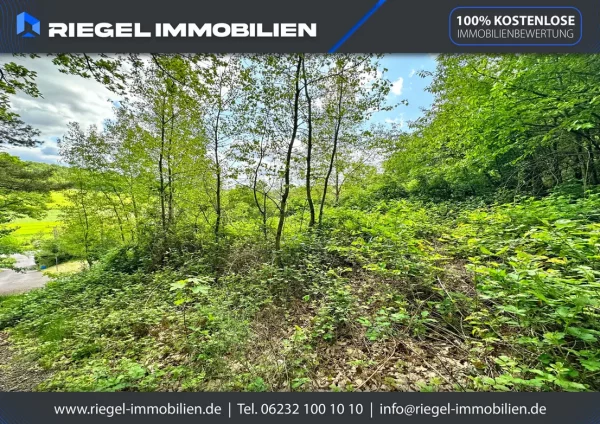 Sie hier? Wir auch! Traumhaft! Idyllisch in Waldrandlage mit schönem Ausblick - Wochenendgrundstück! – Bild 5