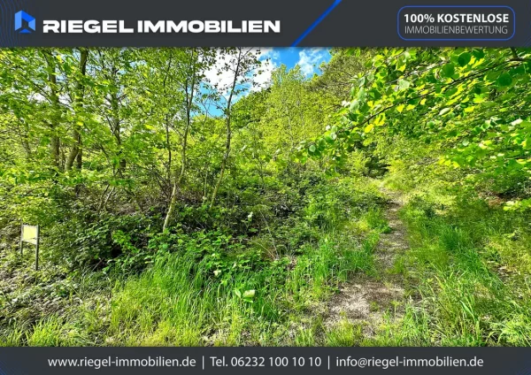 Sie hier? Wir auch! Traumhaft! Idyllisch in Waldrandlage mit schönem Ausblick - Wochenendgrundstück! – Bild 9